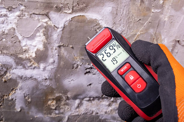 Best Affordable Mold Removal  in Harriman, NY