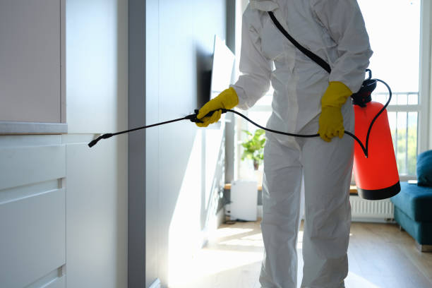 Best Home Mold Removal  in Harriman, NY