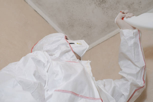 Best Office Mold Removal Services  in Harriman, NY